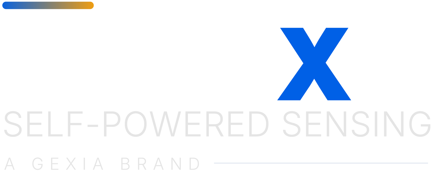 Logo RADEXA