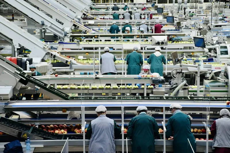 Línea de producción de alimentos
